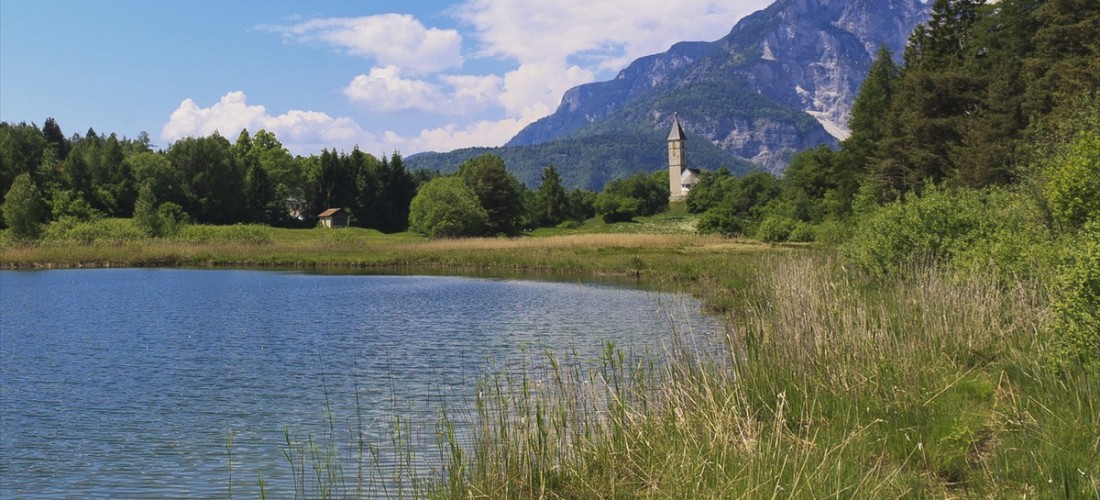 Biotopo Lago di Favogna